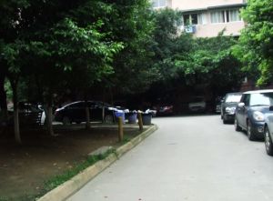 朝发苑9室1厅北南