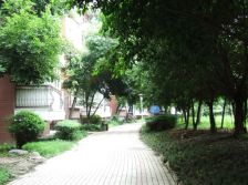 全兴花园 1室2厅 东