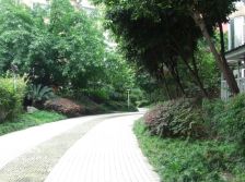 全兴花园 3室2厅 东南