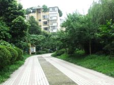 全兴花园 3室1厅 东南