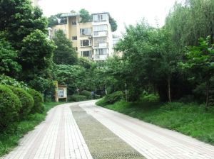 全兴花园3室1厅东南