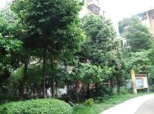 全兴花园 4室1厅 南 北