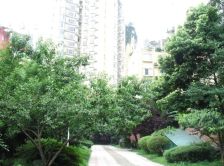 全兴花园 3室2厅 东南