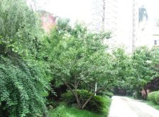 全兴花园 1室1厅 东