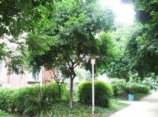 全兴花园 4室2厅 南 北