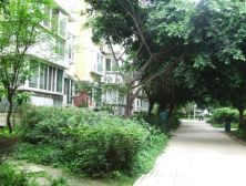 全兴花园 2室1厅 东