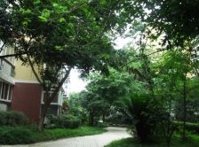 全兴花园 3室1厅 南 北