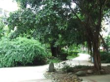 全兴花园 3室1厅 东南