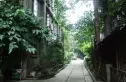 通锦路3号院实景图
