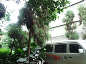通锦路3号院2室1厅南