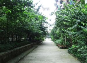 玉双路5号2室1厅西南