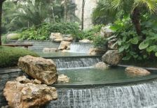 龙城1号 3室2厅 北