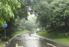 龙城1号 5室2厅 东南