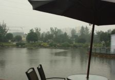 龙城1号 4室2厅 南