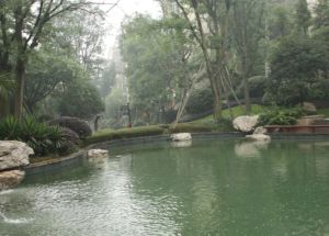 龙城1号4室2厅东南