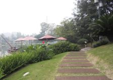 龙城1号 1室0厅 南