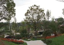 龙城1号 3室1厅 东北