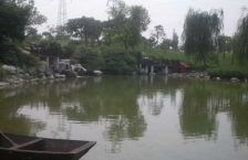 龙城1号 5室2厅 东南