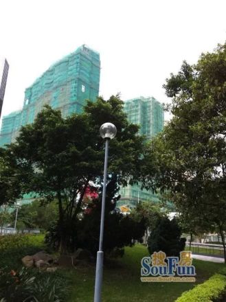 深湾9号实景图