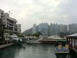 深湾9号实景图