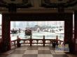深湾9号实景图