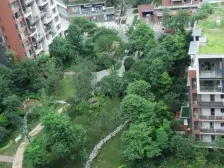 龙湖三千城二期B区 3室1厅 北