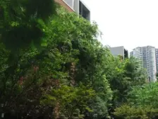 龙湖三千城二期B区 3室1厅 西南