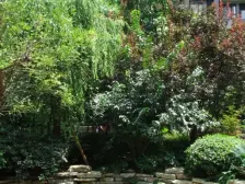 龙湖三千城二期B区 2室1厅 东