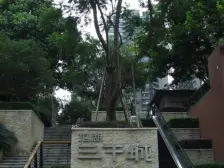 龙湖三千城二期B区 3室1厅 南