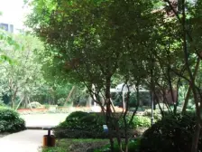 龙湖三千城二期B区 3室2厅 西南