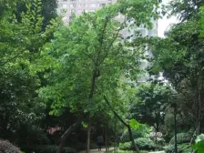 龙湖三千城二期B区 3室2厅 南