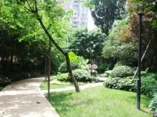 龙湖三千城A区 3室1厅 南