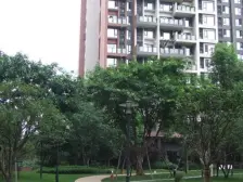 龙湖三千城二期B区 3室2厅 西 西北