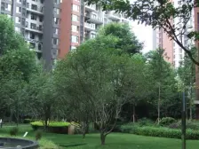 龙湖三千城A区 3室1厅 北