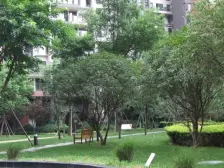 龙湖三千城A区 3室1厅 南