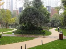 龙湖三千城A区 3室1厅 东南