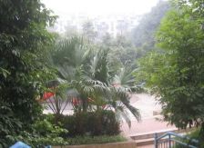 万科城市花园 5室3厅 南