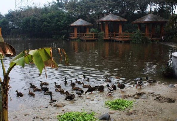 比华利国际城一期实景图