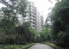 诺金山 3室2厅 东北