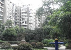 诺金山 3室1厅 东南