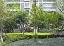 诺金山 3室2厅 东北