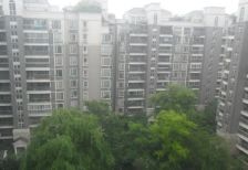 诺金山 3室1厅 东南