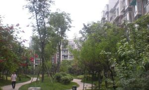 上优水岸3室2厅南