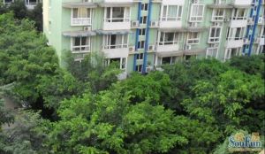 城市绿舟花园 3室2厅 东南