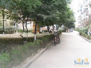 城市绿舟花园3室2厅东南