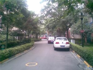 菊乐路180号3室1厅东