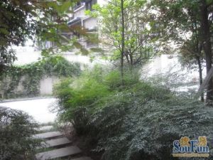 菊乐路180号4室2厅西