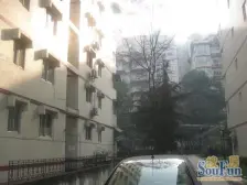 芙蓉花园 1室1厅 东南