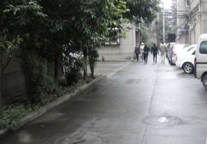 营兴街47号2室1厅南