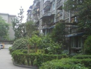 化八院3室1厅南北